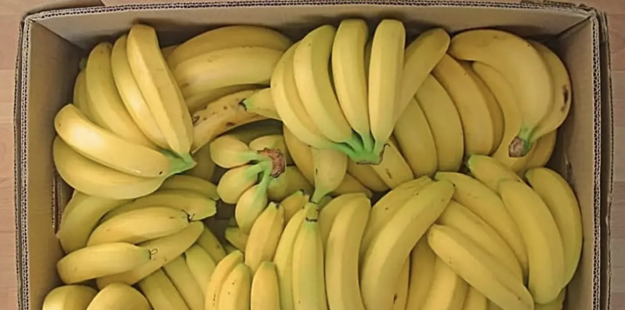 Banan
